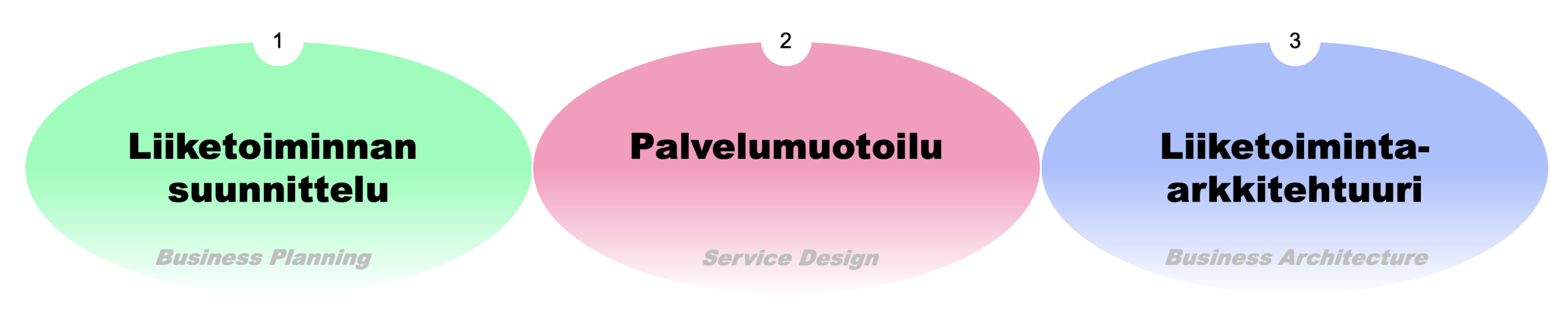 liiketoiminnan muotoilu